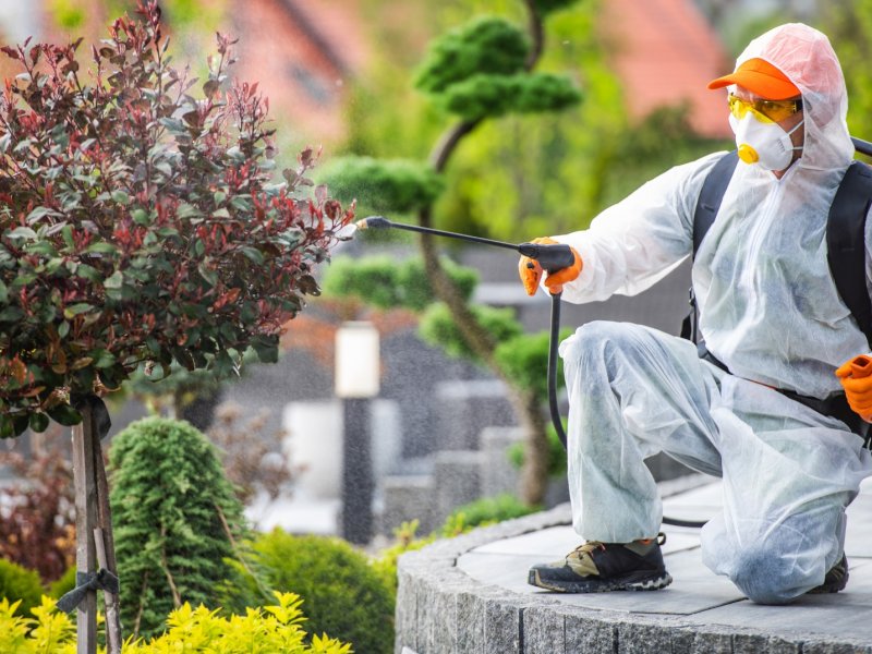 Nazilli Haşere İlaçlama